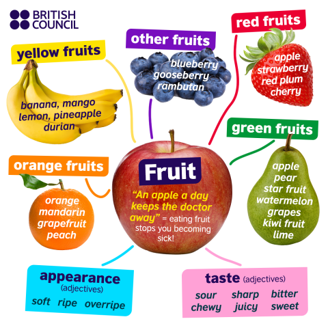 A mind map of fruit with categories for yellow fruits, orange fruits, red fruits, green fruits, other fruits, appearance and taste