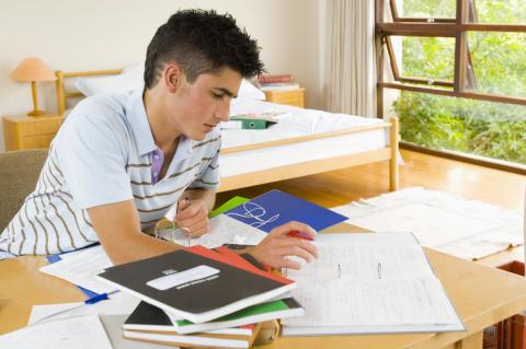 A student studying