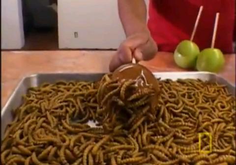 screenshot from the Eating Insects video